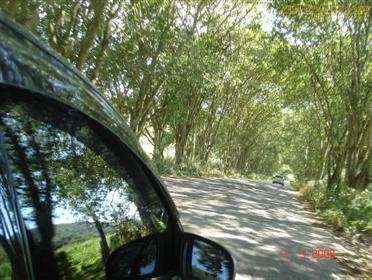 Acervo Corsa Clube (3342)