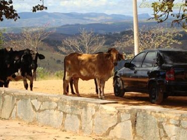 Acervo Corsa Clube (4052)