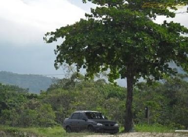 Acervo Corsa Clube (4628)