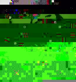 Acervo Corsa Clube Brasil (1644)